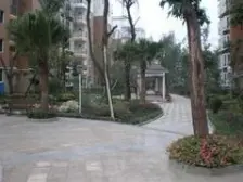 金阳水景 4室2厅 西南