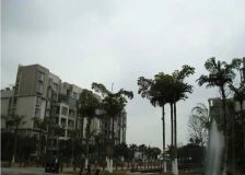 蓝岸B区 5室2厅 南 北