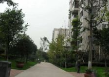 蓝岸B区 5室2厅 南 北