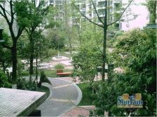 蓝岸B区 5室1厅 东南