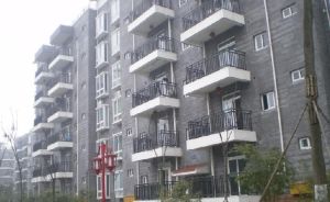 杜鹃城千万间3室1厅南
