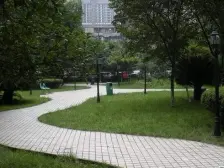 林荫街9号 3室1厅 南 北