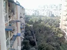 锦宏丽景花园 1室0厅 东南