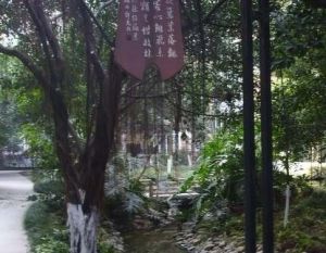 向阳名居4室1厅南西南