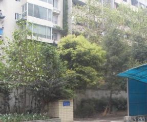 华西怡园3室2厅南