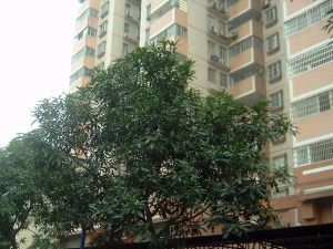 东晓花园2房101方
