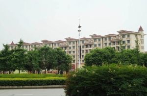 叠香庄园3室2厅南