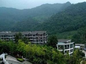 天下青城D区 2室1厅 东南