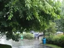 金海岸·天府花园水城 4室1厅 东