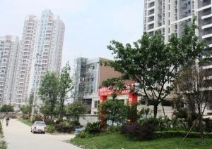 我的大学3室1厅南