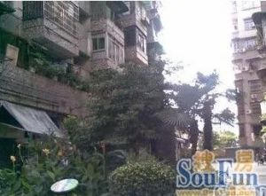 中山路交通便利低楼层小户型实用两室