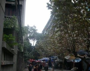 双桥路南六街2室1厅南