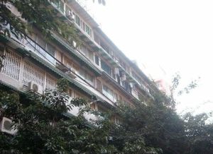 玉风苑5室2厅东南