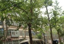 鼓楼北三街63号4室2厅西南