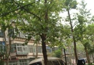 鼓楼北三街63号 4室2厅 西南