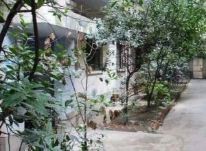 鼓楼北三街63号 2室1厅 东 东南