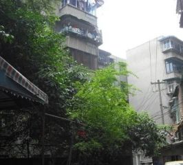鼓楼北三街63号2室1厅南