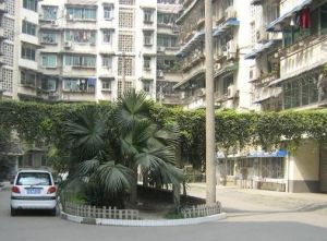 清江东路5号3室2厅东西