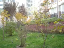 临jin地铁口 大平层 产权清晰可按揭 南北通透 带车位