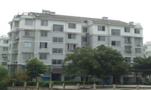 美东新村西区3室1厅南