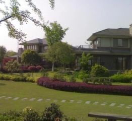 丽都半岛3室2厅南