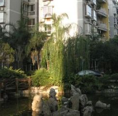 丽都半岛 2室1厅 东北