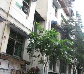 岷阳小区2室2厅东南