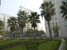 带产权车位,近地铁 电梯房 中间楼层 无抵押,必看好房