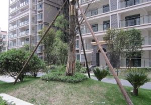 楠香山2室2厅西北