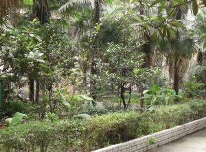 瑞西小区 2室1厅 西北