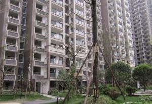 经典再现2室1厅西
