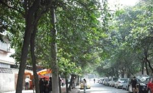 盛华苑 2室1厅 东南