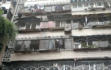 苏坡中路77号大院2室1厅东南
