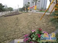 花溪 巴比亚半山二房78万