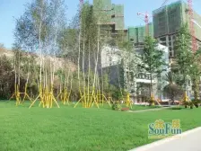 洋房,洋房拎包入住小区品质好,住家舒适,物业服务好