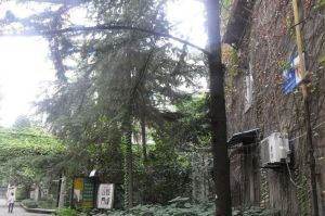 宁夏街207号 3室1厅 南 北