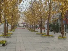 人和 东原黄山大道东二房