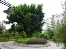 城北团山堡精装三房看房方便空置状态