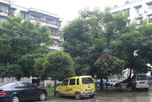 华兴家园3室2厅东南