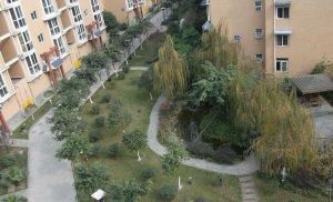 柳城华厦4室2厅东南