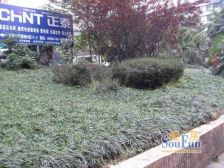 步行街 金华大厦(大渡口)三房