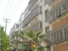 光明南村 两室朝南 光线好 户型方正 诚心出售