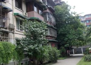 武侯祠大街252号2室2厅西南