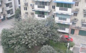 和平小区3室3厅东南西南
