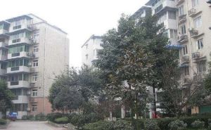 双桥路南二街 2室1厅 东南