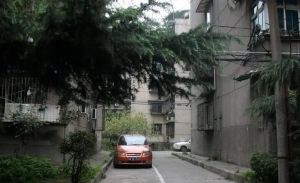 八二宿舍二区3室2厅东南
