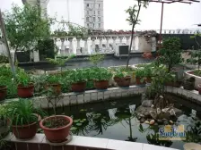 大石坝 大顺商厦四房150万