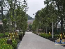 出门小区就是轻轨,近商圈,精装大两房