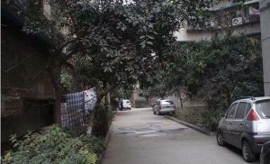 玉林东路8号 2室1厅 南