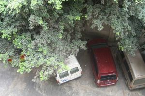 万年商寓 3室1厅 东南